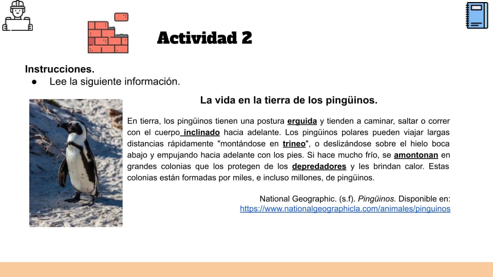 LECTURA ACTIVIDAD 2